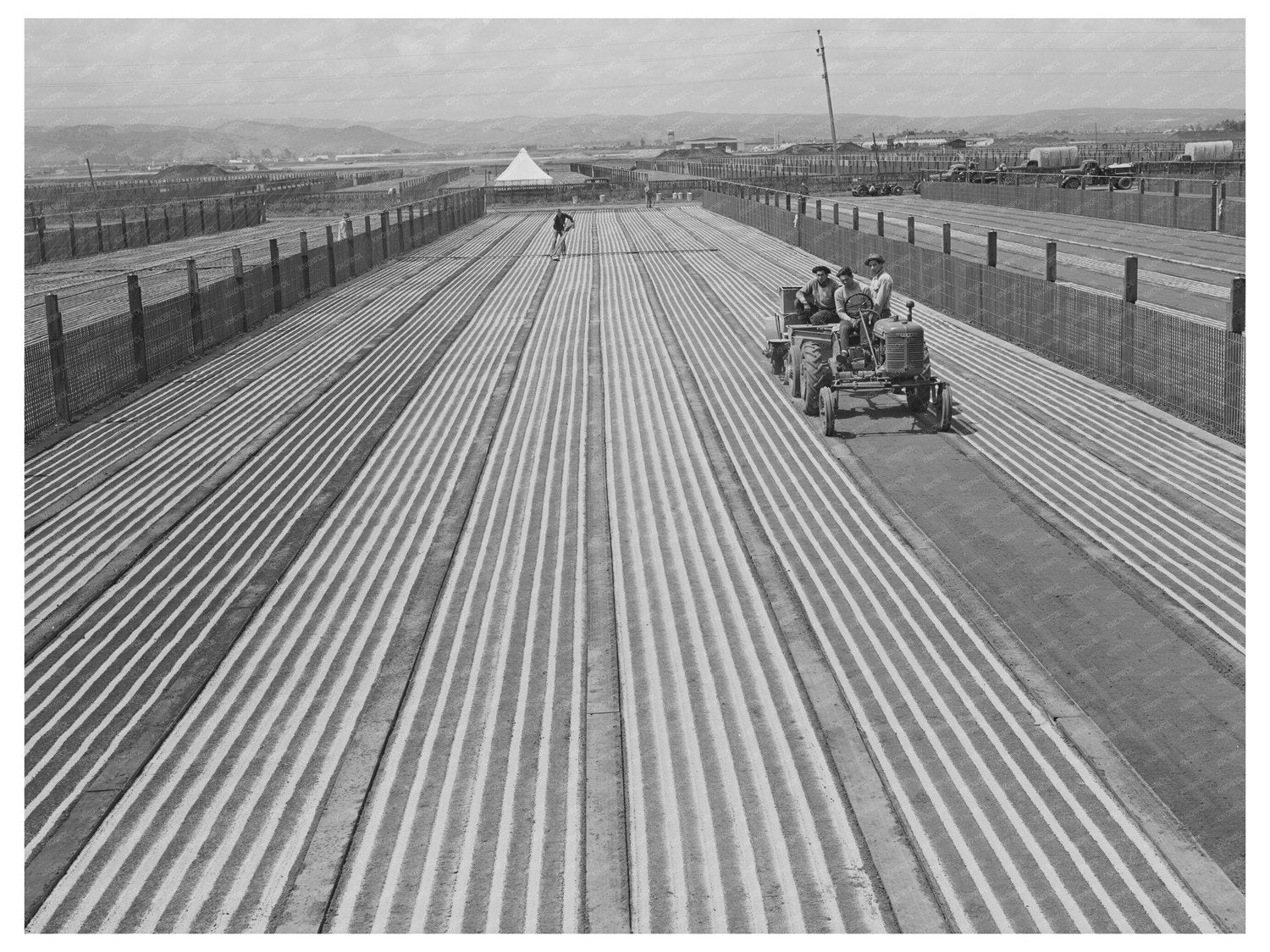 Guayule Seed Planting Process Salinas California 1942
