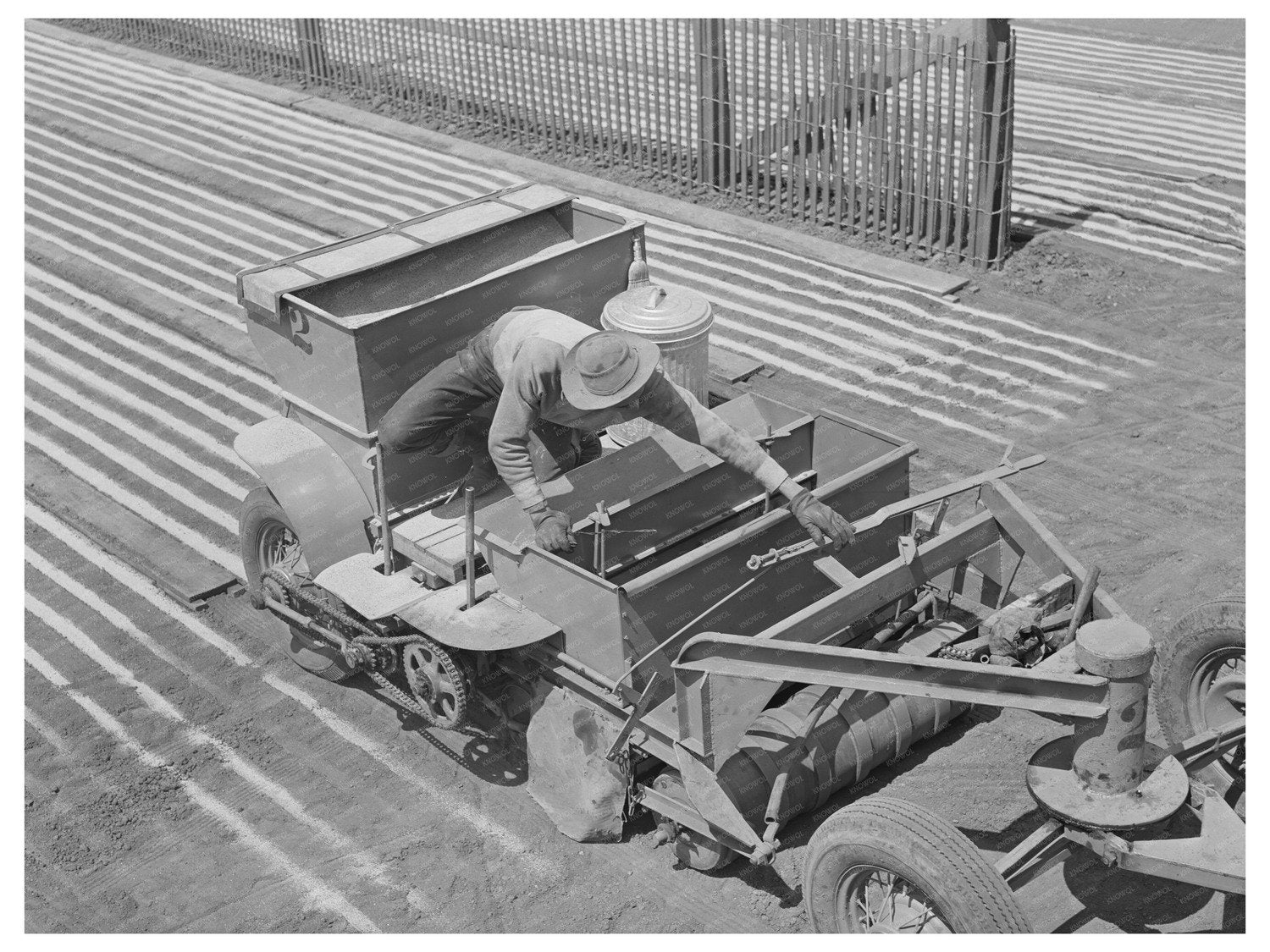 Guayule Seed Planting Process in Salinas California 1942