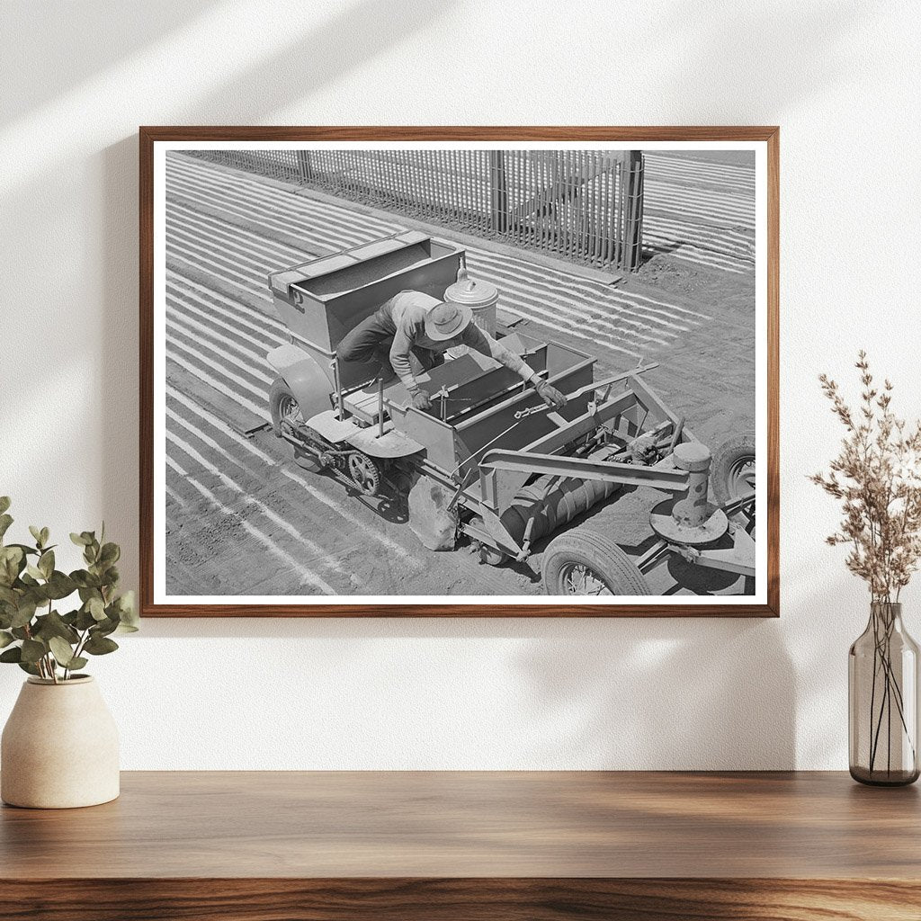 Guayule Seed Planting Process in Salinas California 1942