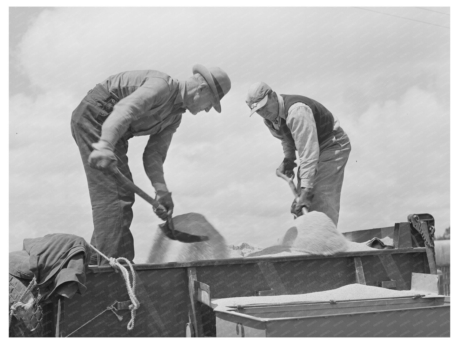 Guayule Planter Workers in Salinas California 1942