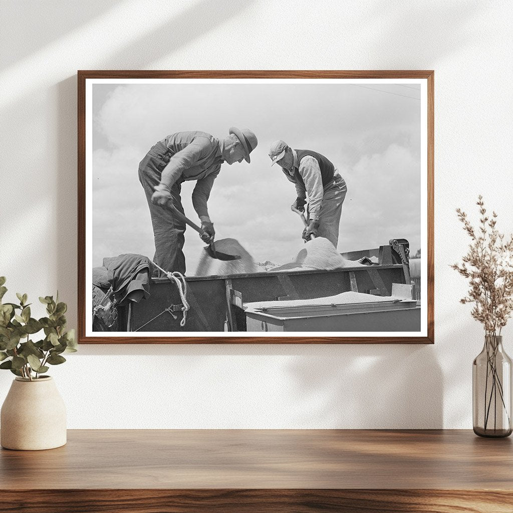 Guayule Planter Workers in Salinas California 1942