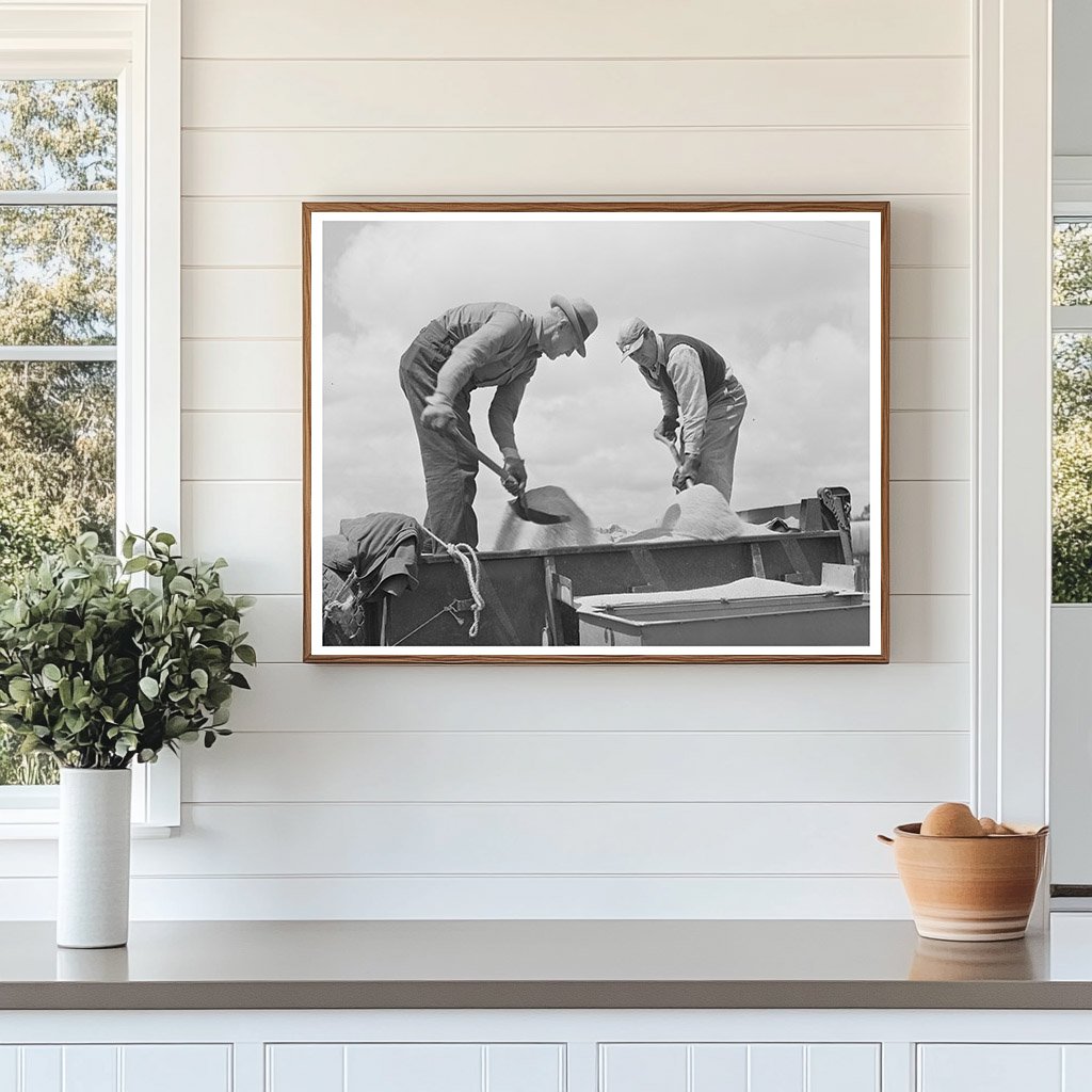 Guayule Planter Workers in Salinas California 1942