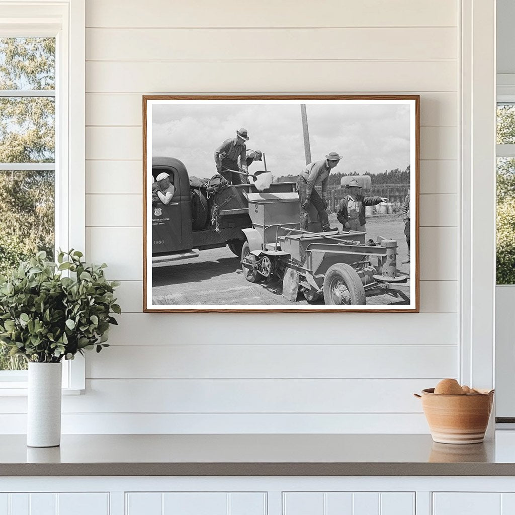 Guayule Planting Workers in Salinas California 1942