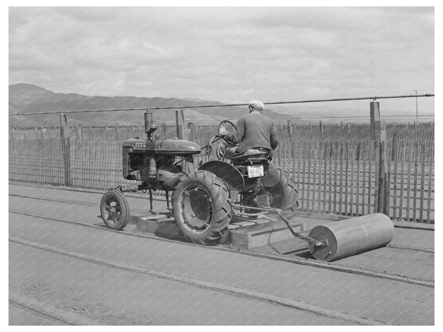 Tractor-Drawn Roller Preparing Guayule Seedbed 1942