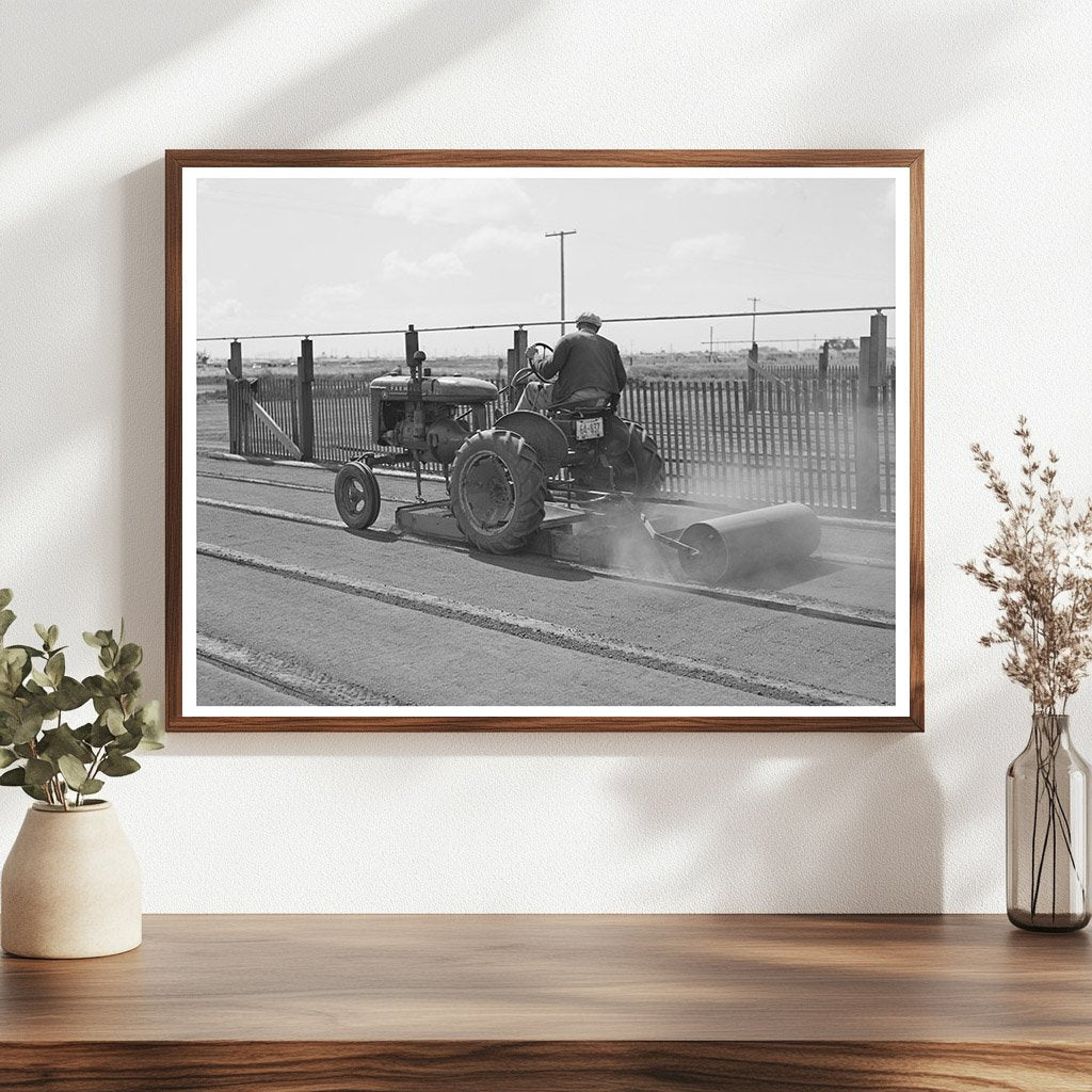 Tractor-Drawn Roller in Guayule Seedbed May 1942