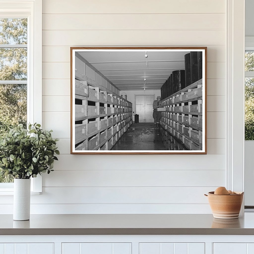 Guayule Seed Drying Room Salinas California May 1942