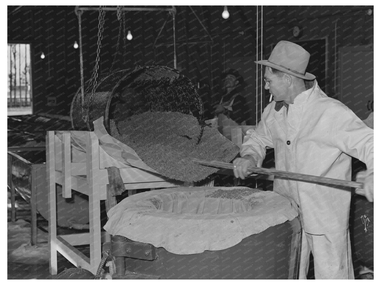 Guayule Seed Processing in Centrifuge Salinas May 1942