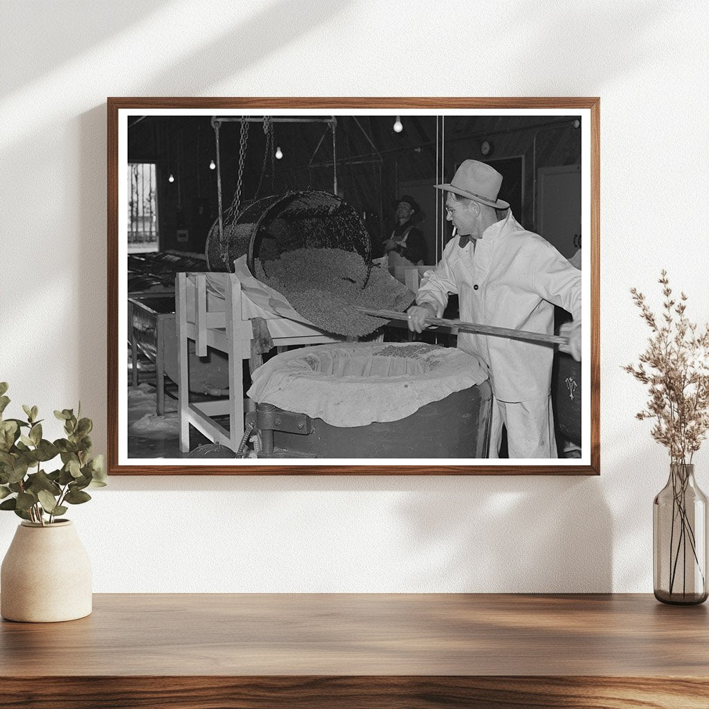 Guayule Seed Processing in Centrifuge Salinas May 1942