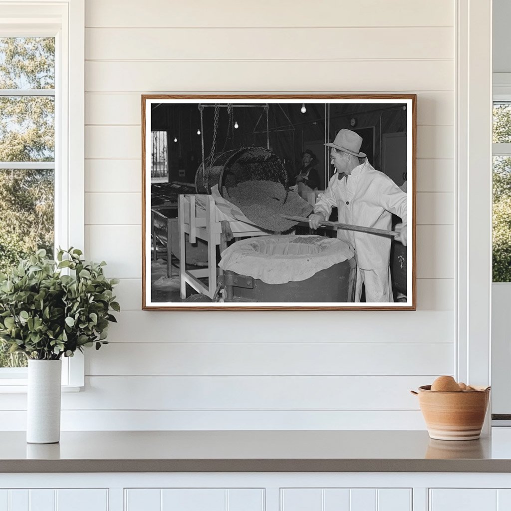 Guayule Seed Processing in Centrifuge Salinas May 1942