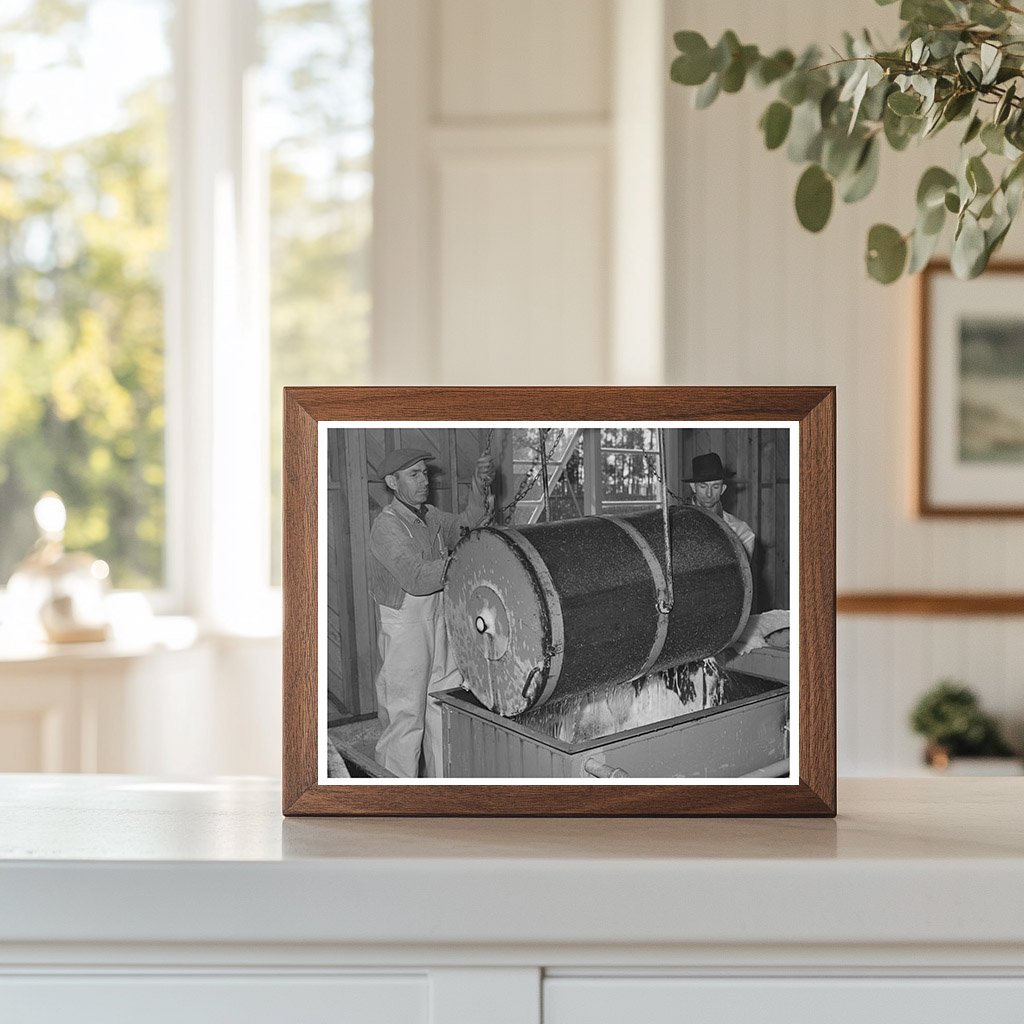 1942 Workers Harvesting Guayule Seed in Salinas California