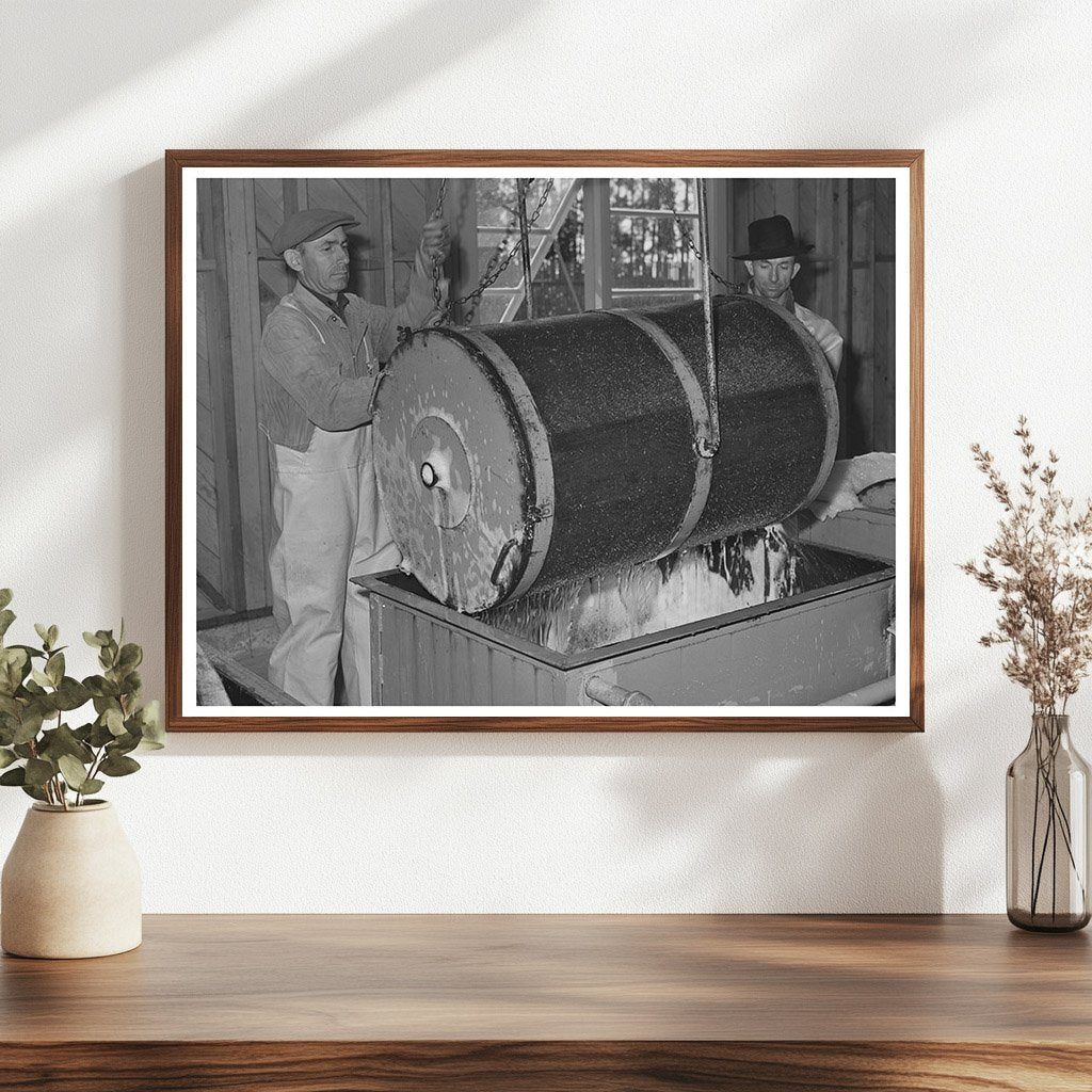 1942 Workers Harvesting Guayule Seed in Salinas California