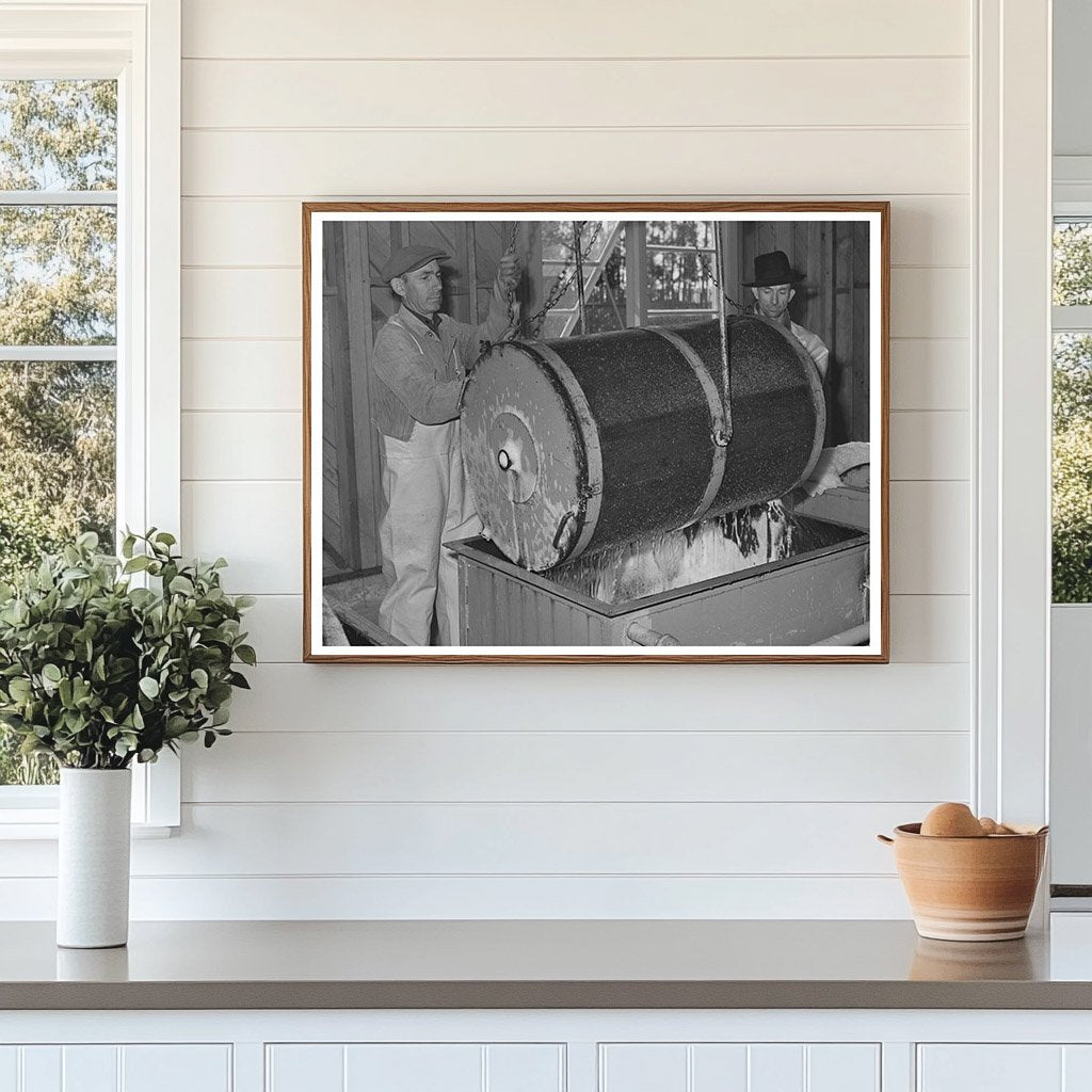 1942 Workers Harvesting Guayule Seed in Salinas California