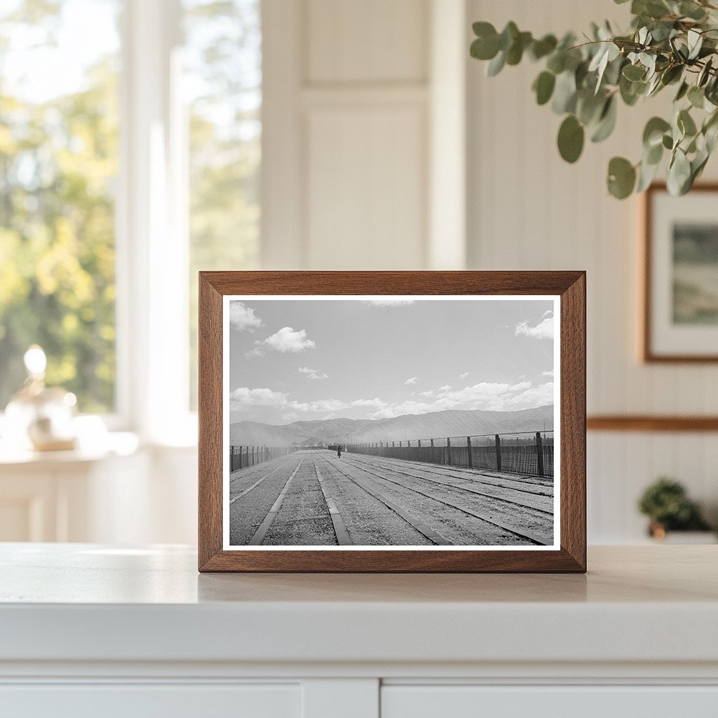 Guayule Nursery Irrigation Salinas California May 1942