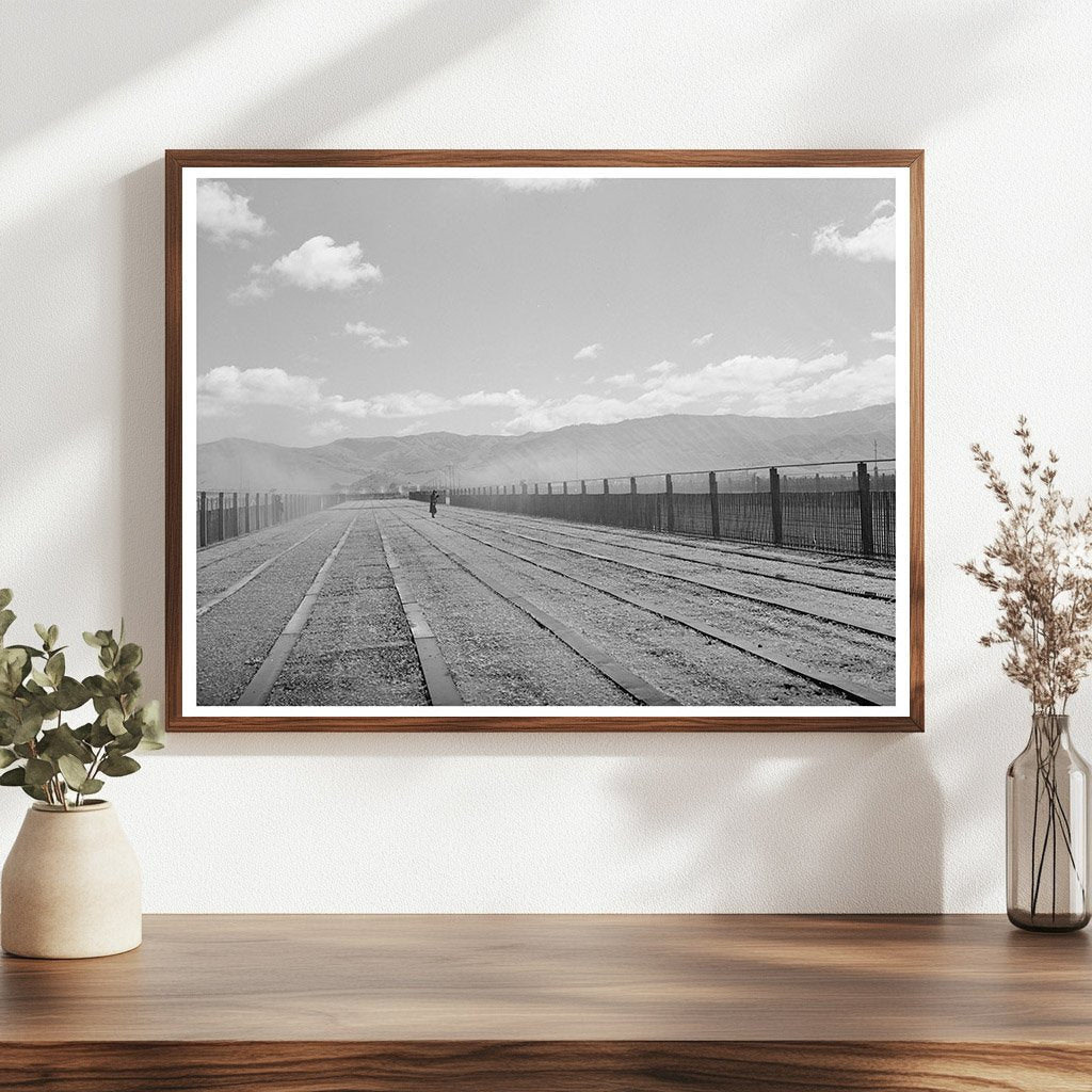 Guayule Nursery Irrigation Salinas California May 1942