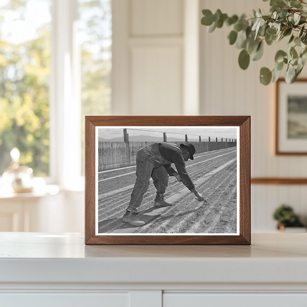 1942 Guayule Nursery Workers in Salinas California