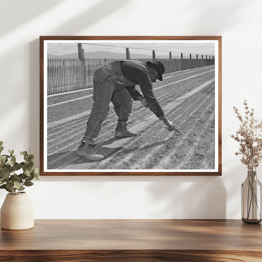 1942 Guayule Nursery Workers in Salinas California