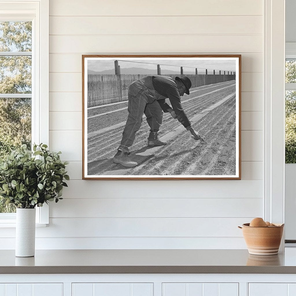 1942 Guayule Nursery Workers in Salinas California
