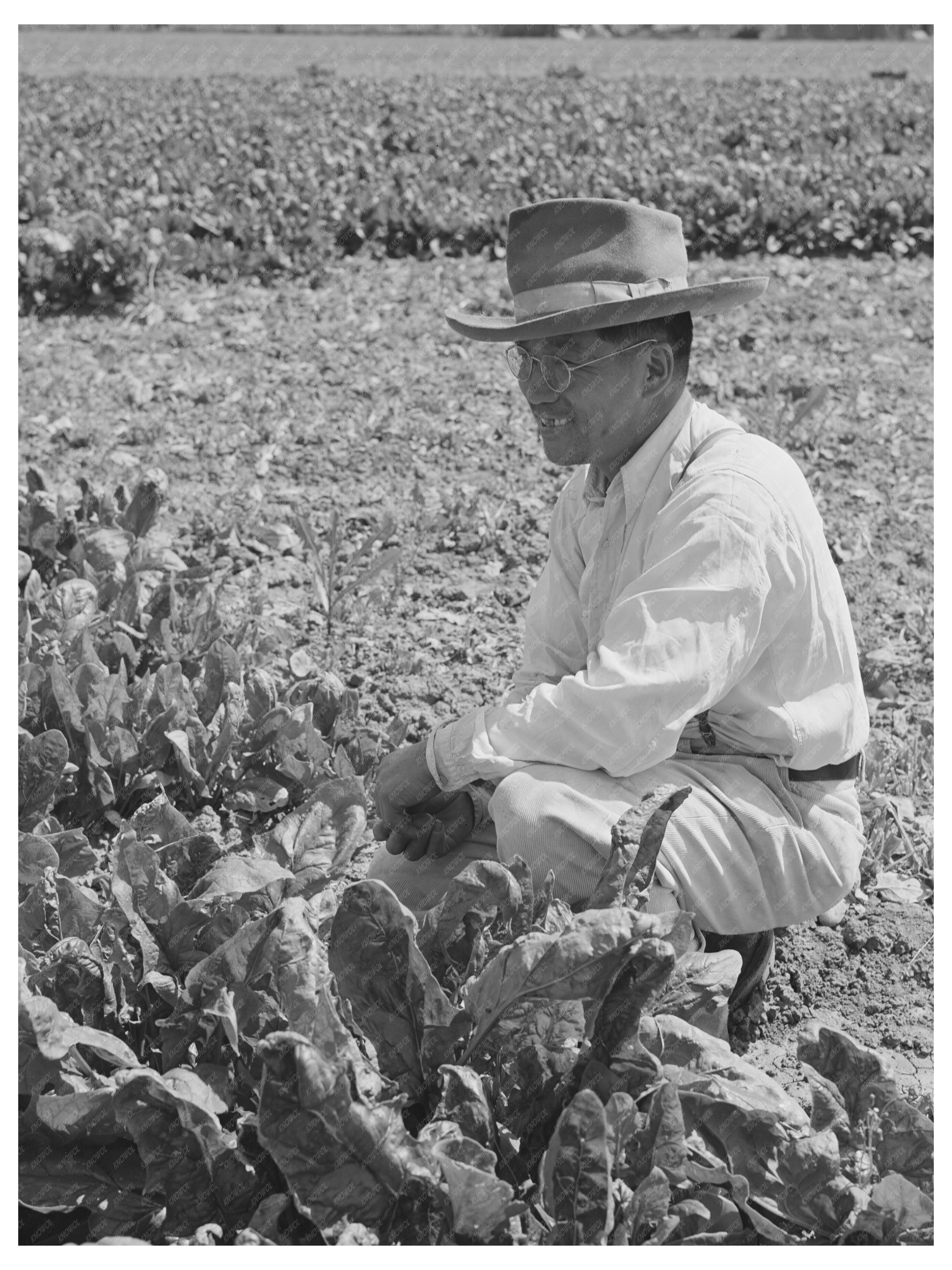 Japanese-American Awaiting Evacuation May 1942