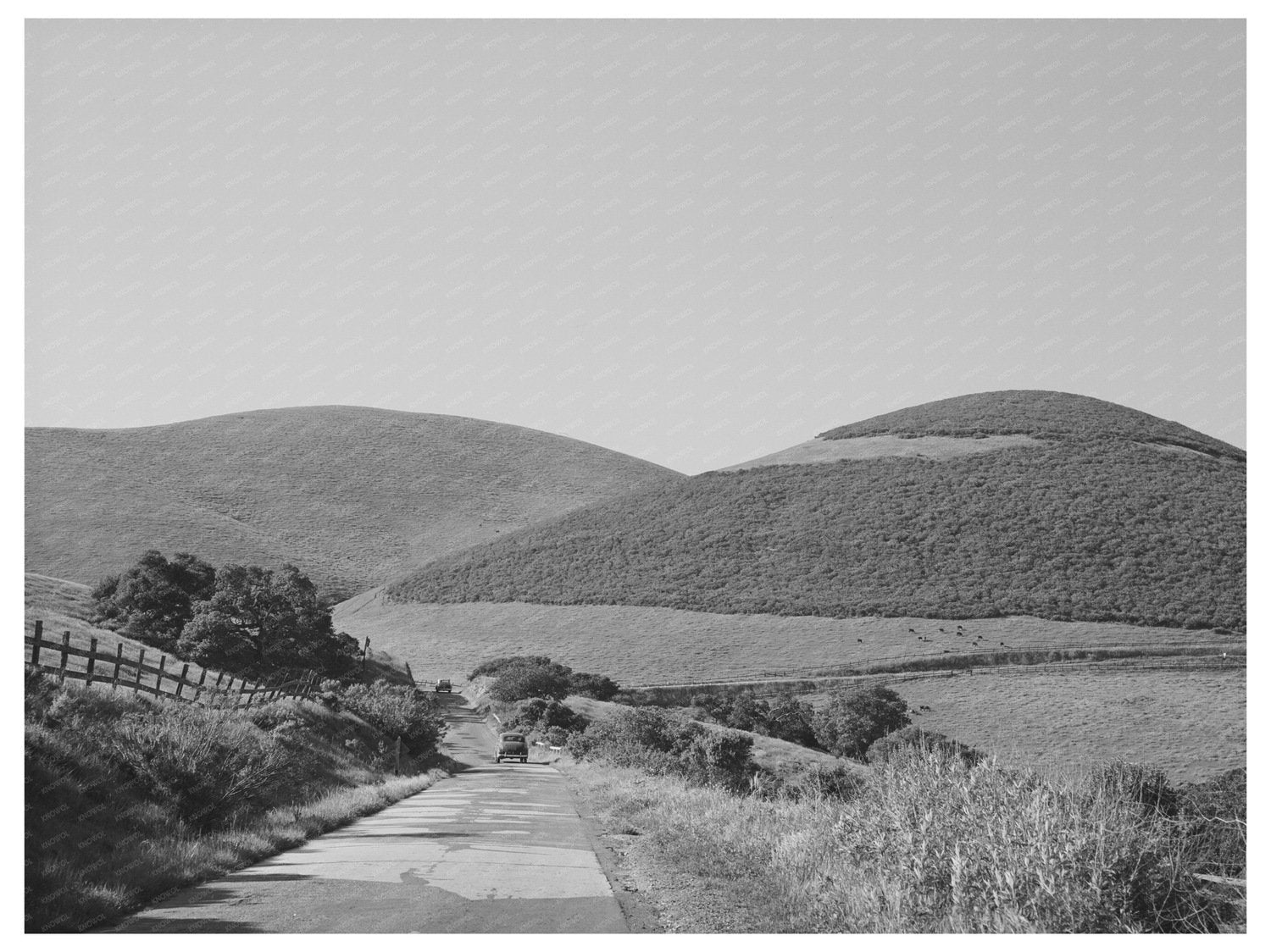 Winding Road in San Benito County California 1942