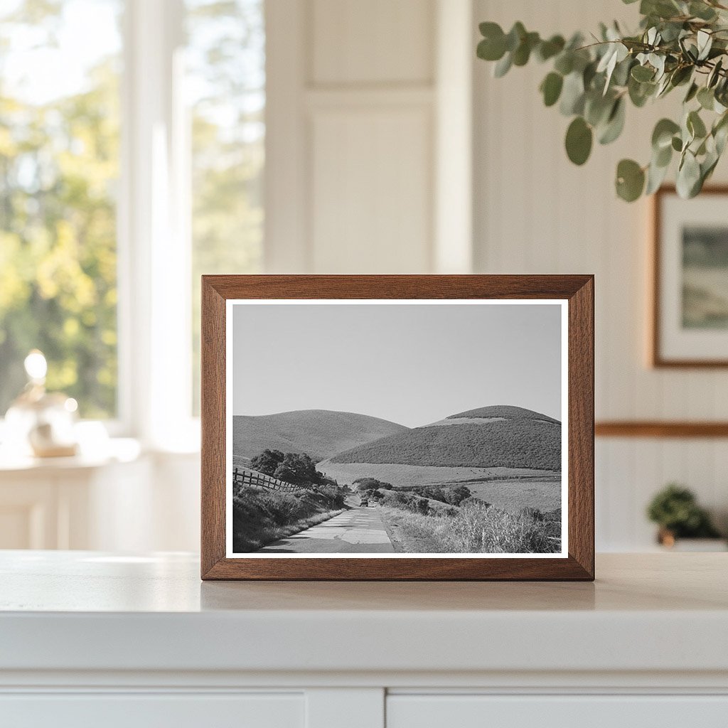 Winding Road in San Benito County California 1942