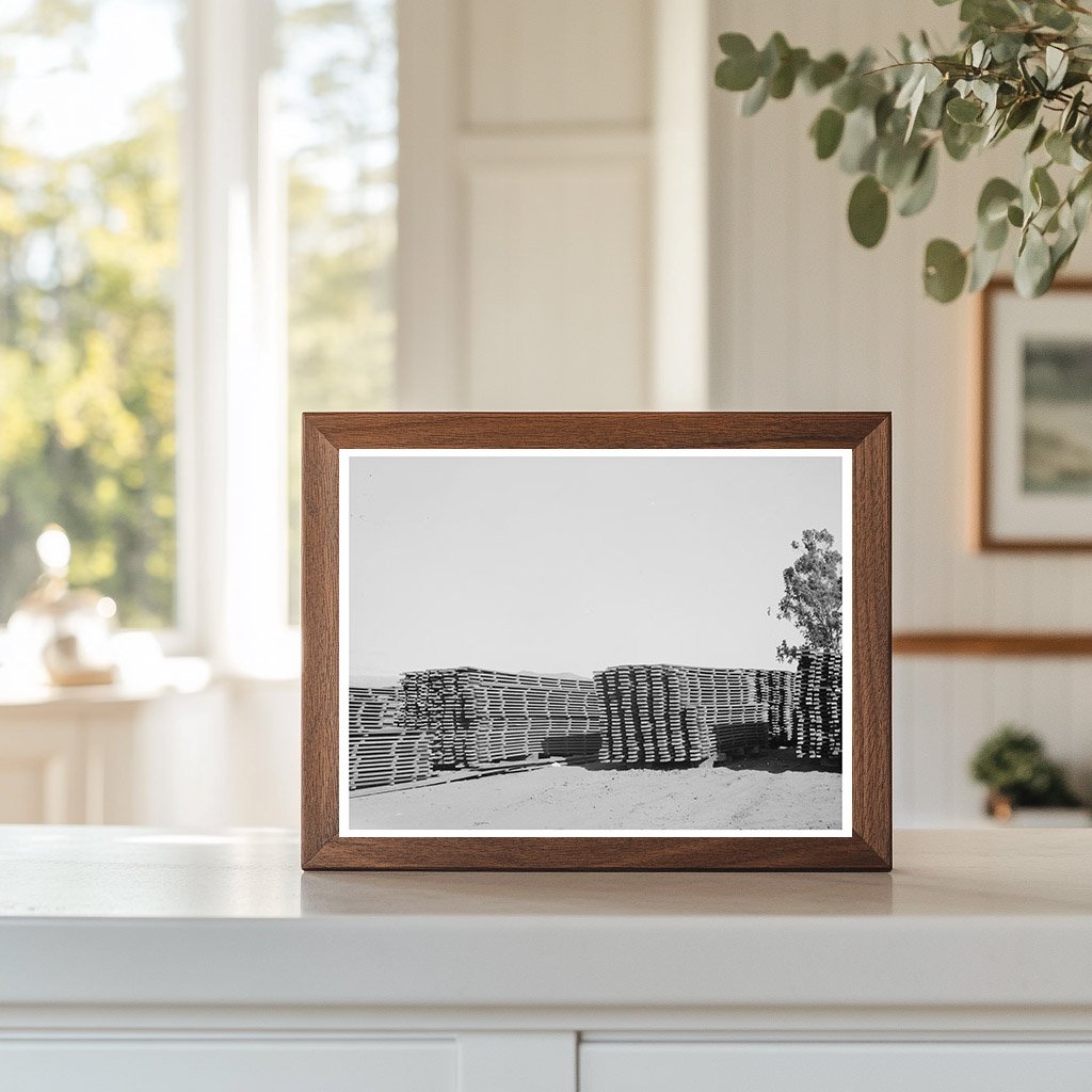 Guayule Nursery Duckboards in Salinas May 1942