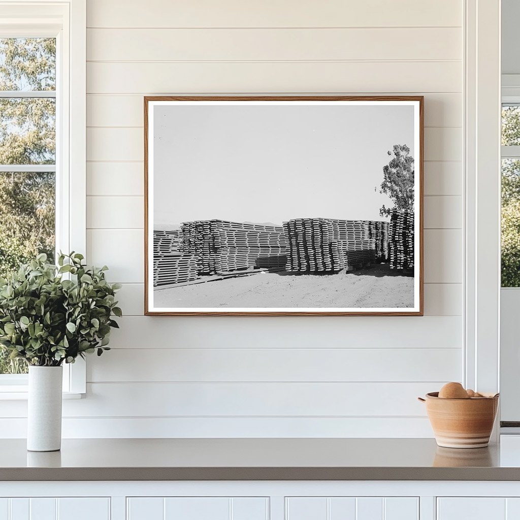 Guayule Nursery Duckboards in Salinas May 1942