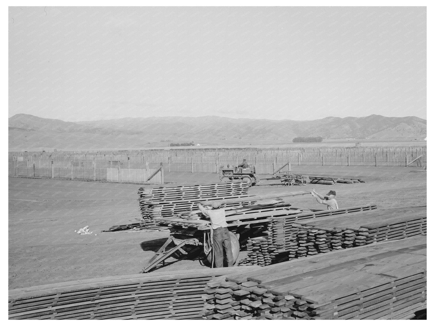 Guayule Nursery Duckboards Salinas California 1942