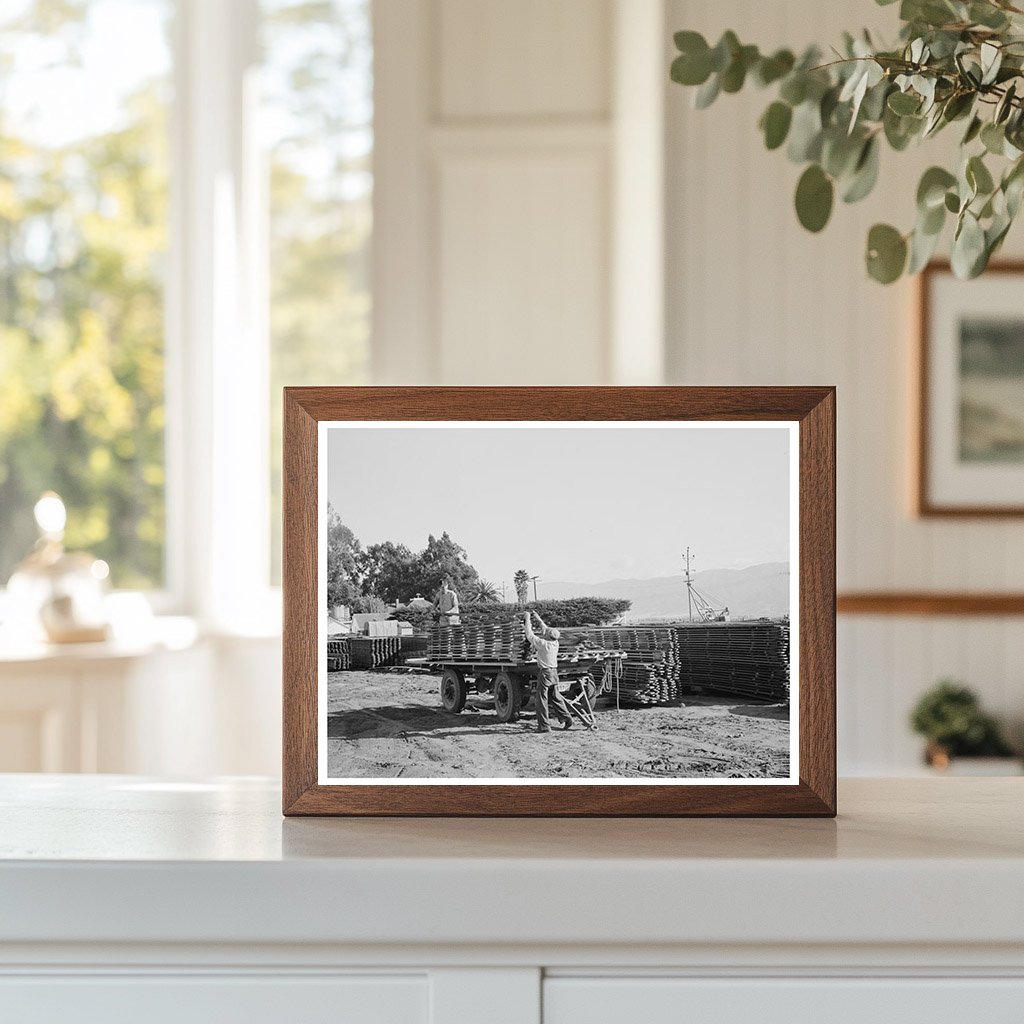 Salinas California Workers Unloading Duckboards 1942