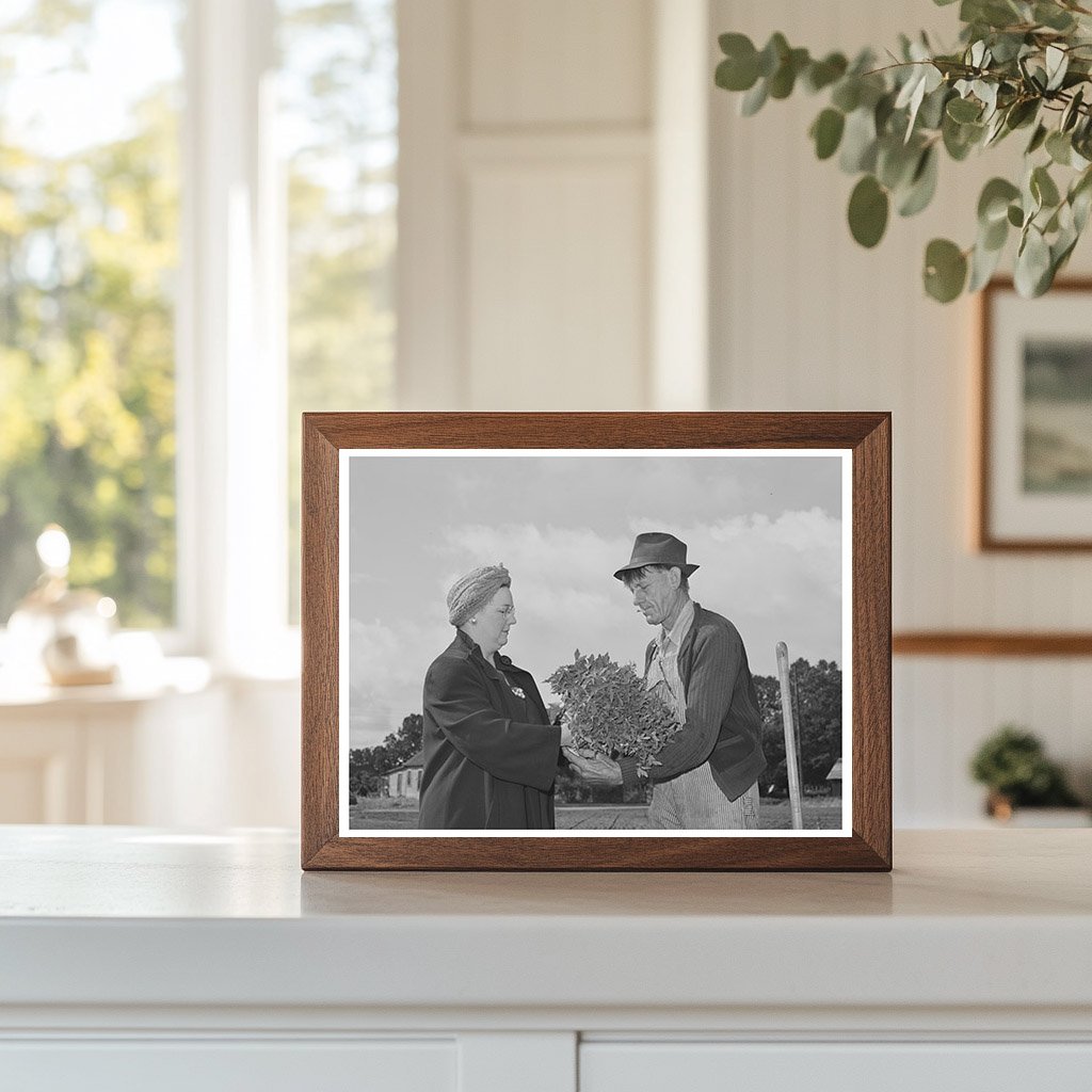 1942 Turlock PTA President Plants Tomatoes for School Garden