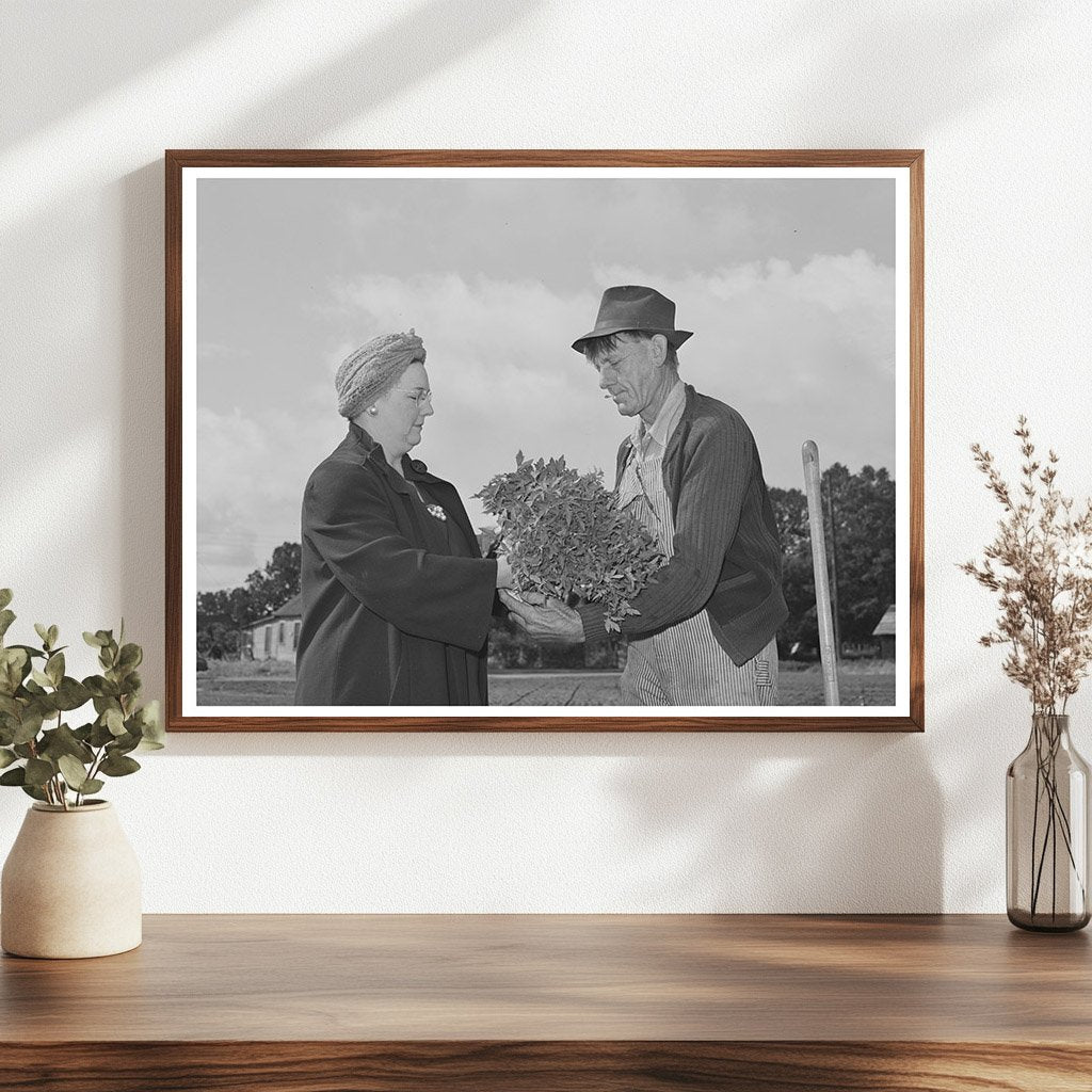 1942 Turlock PTA President Plants Tomatoes for School Garden