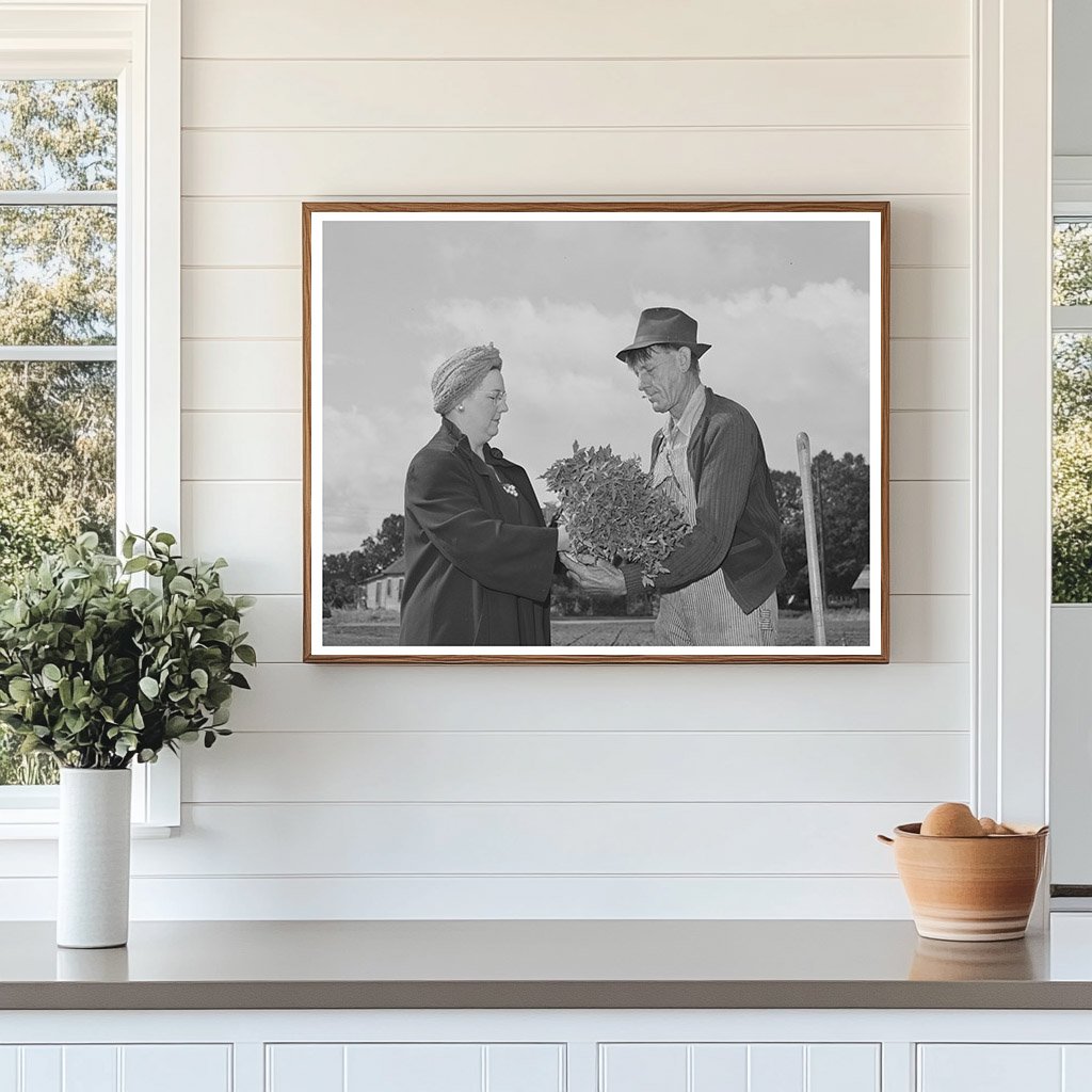 1942 Turlock PTA President Plants Tomatoes for School Garden