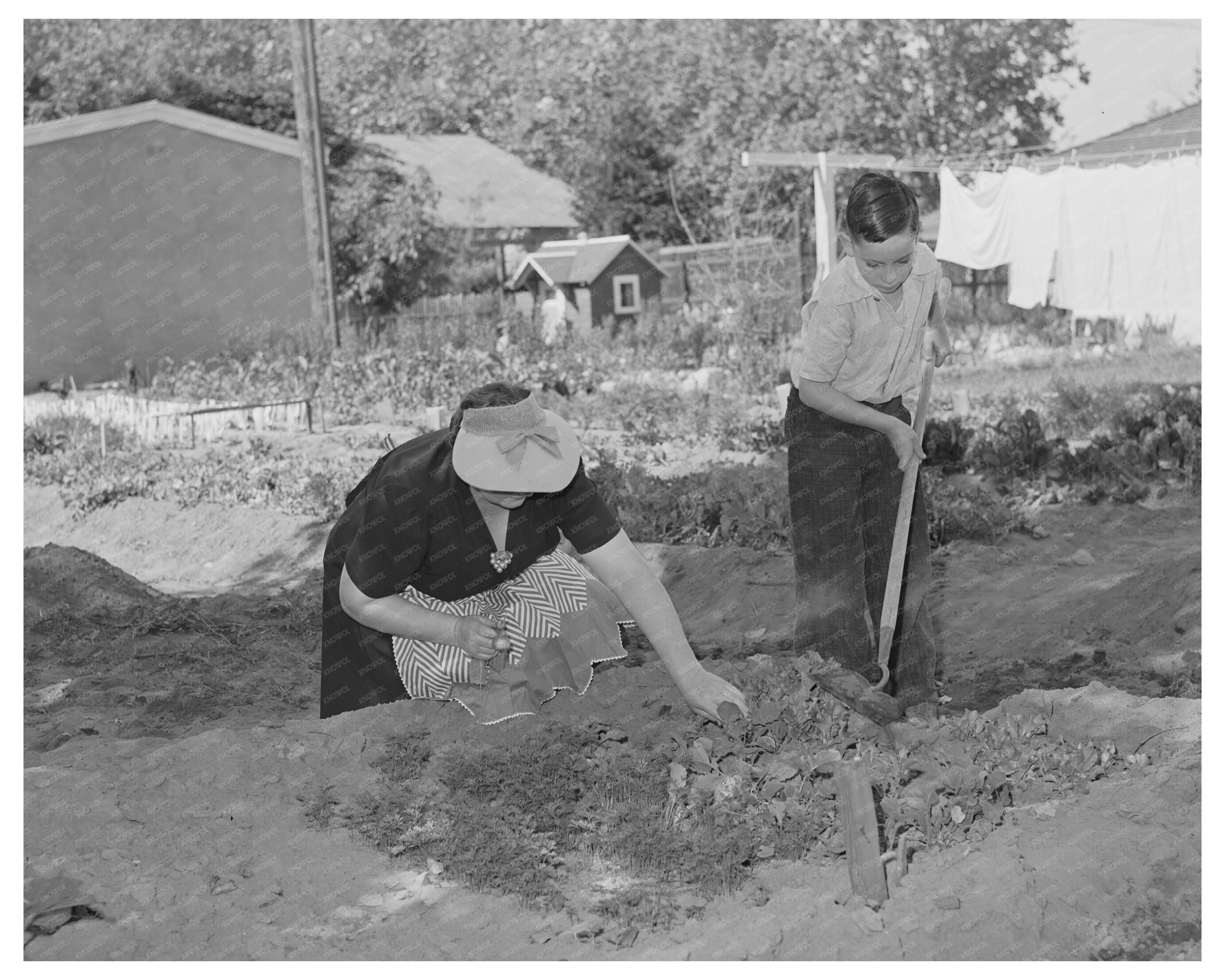 1942 Housewife and Son Gardening in Turlock California