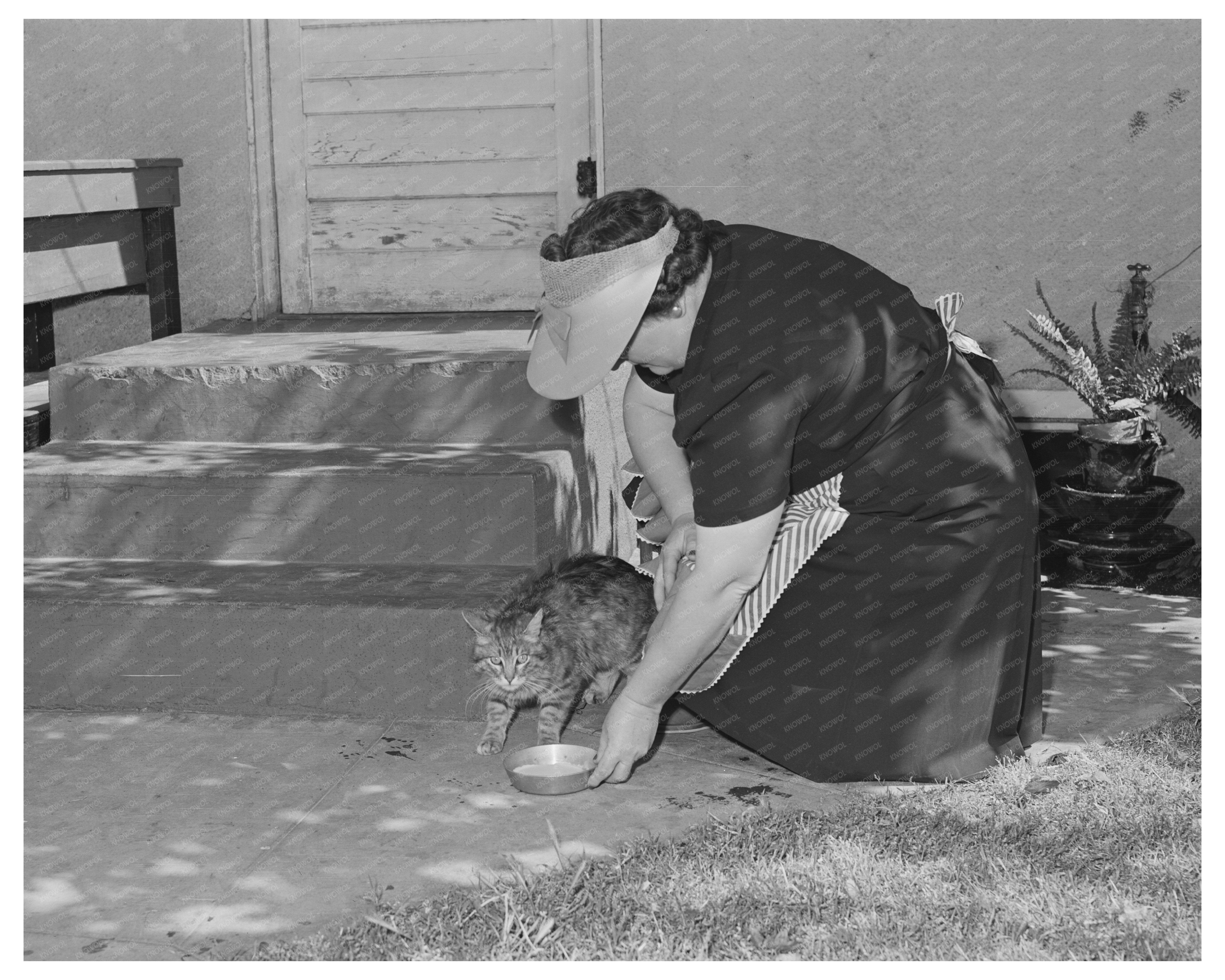 1942 Housewife Feeding Cat in Turlock California
