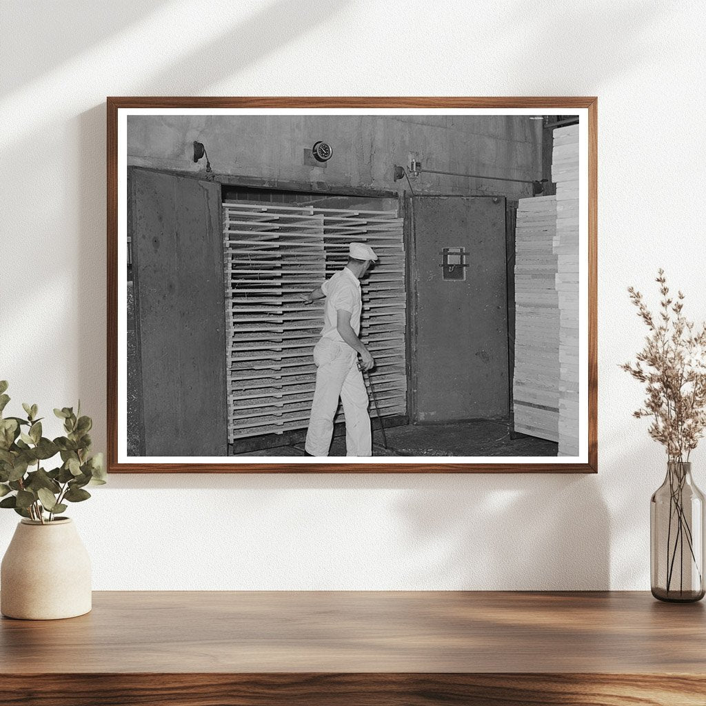 1942 Workers Pulling Cabbage from Drying Tunnels in Turlock