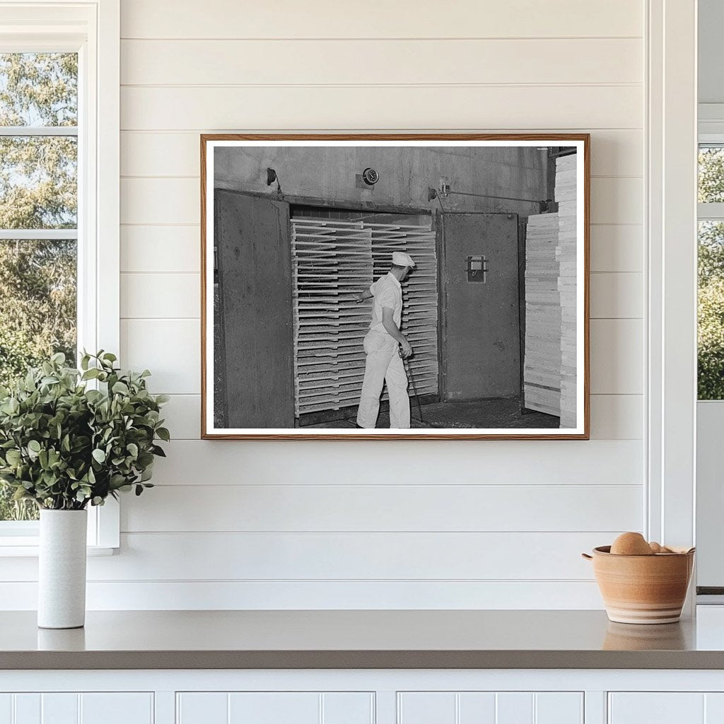 1942 Workers Pulling Cabbage from Drying Tunnels in Turlock