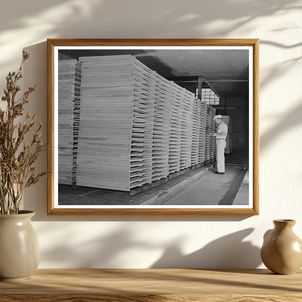 Cabbage Drying Racks in Turlock California 1942
