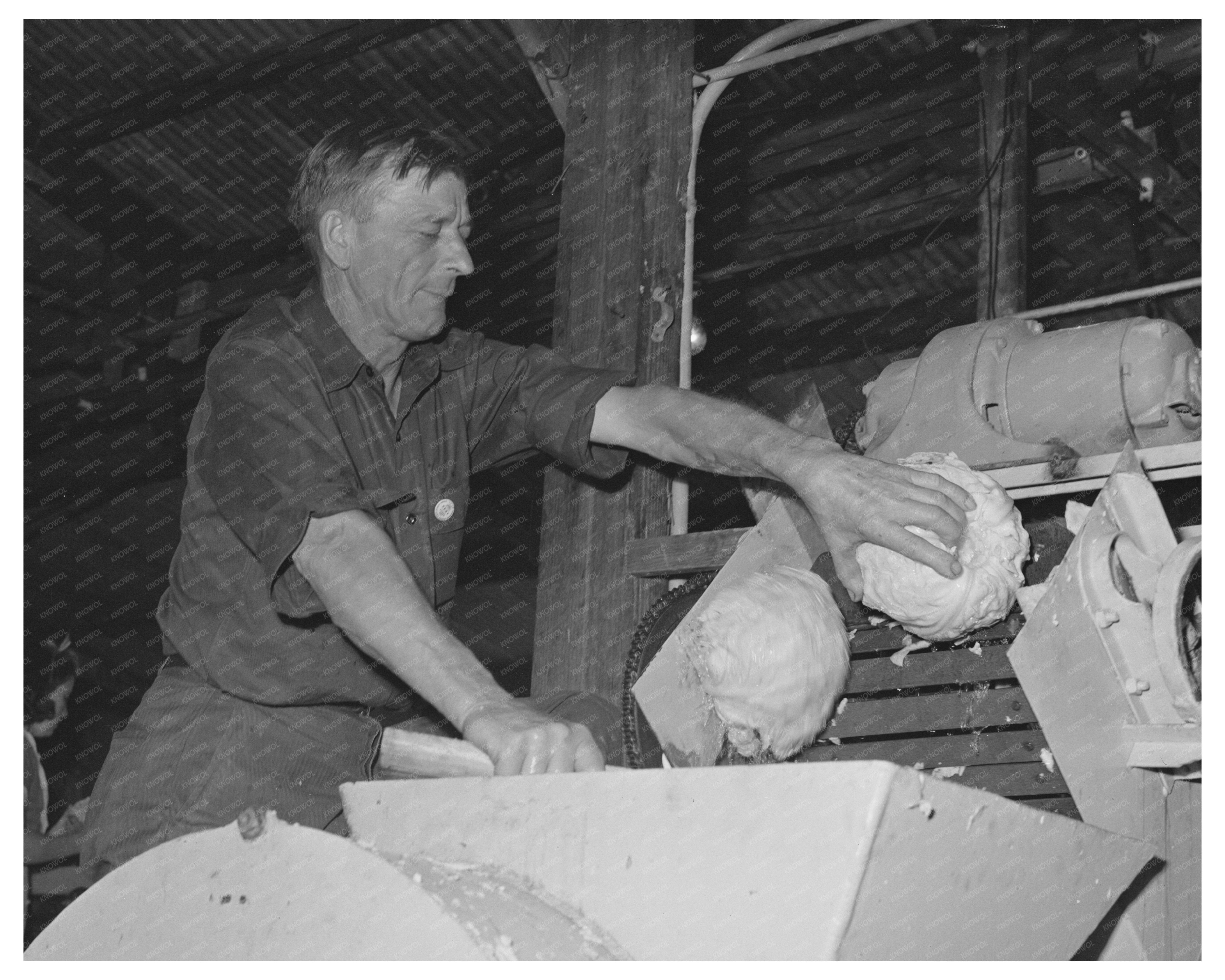 1942 Workman Inspects Dehydrating Equipment in Turlock CA