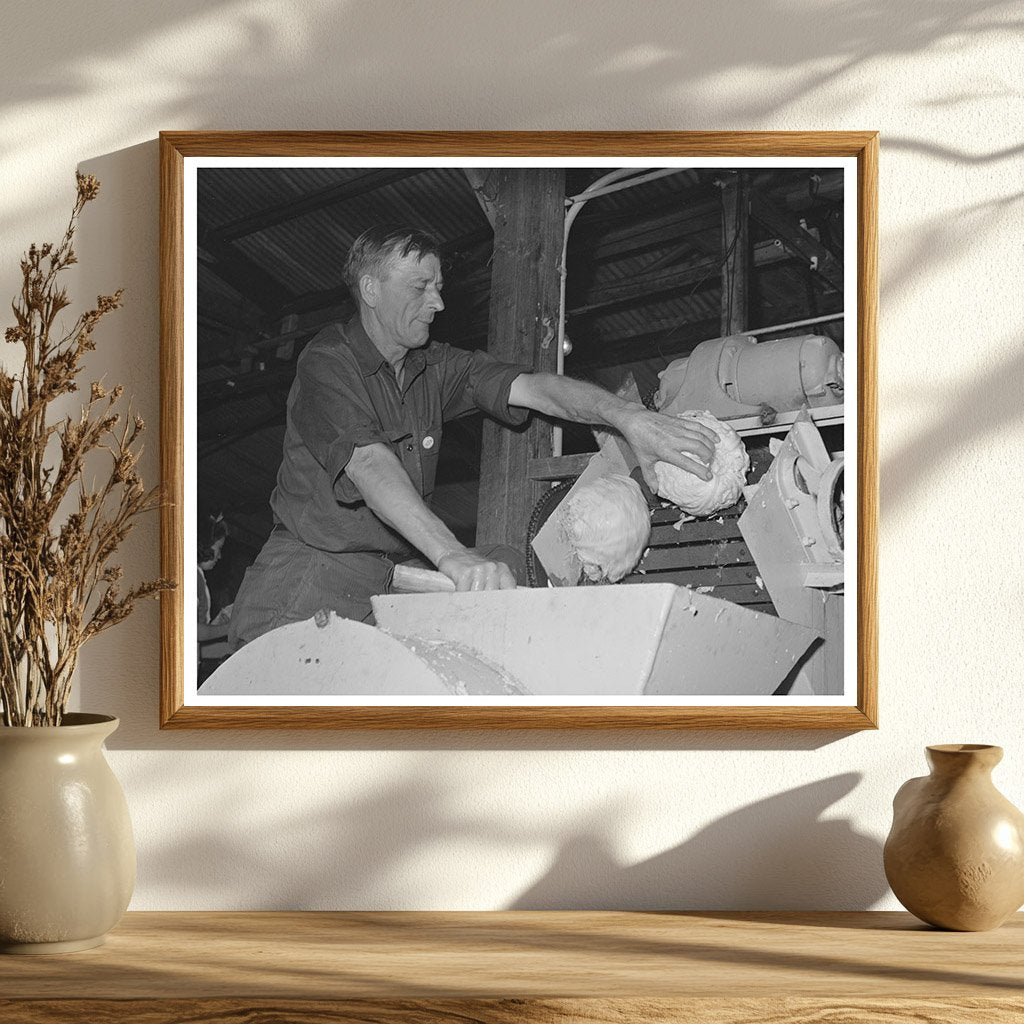 1942 Workman Inspects Dehydrating Equipment in Turlock CA