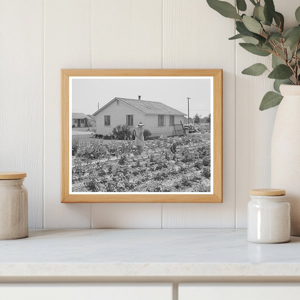 Home and Garden of Farm Workers in Gridley California 1942