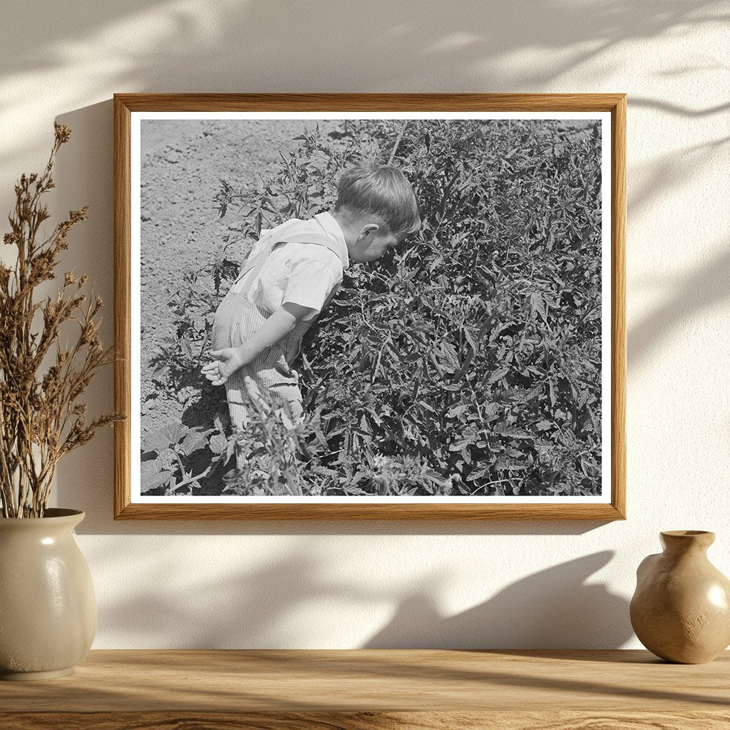 Donnie Martin Hunting Bugs in Yuba City 1942