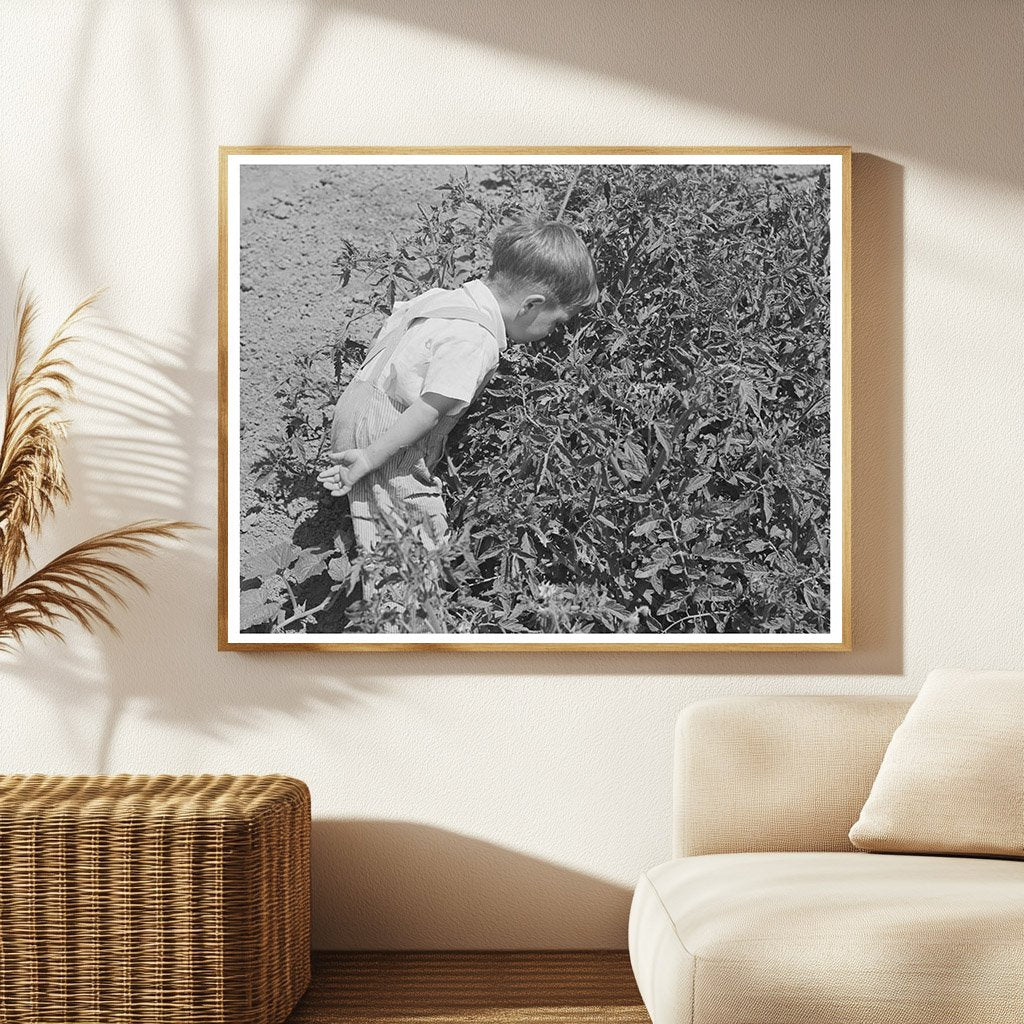 Donnie Martin Hunting Bugs in Yuba City 1942