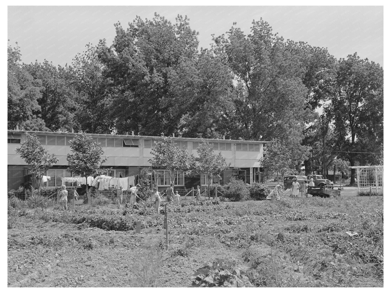 Farm Workers Tending Garden Yuba City California 1942