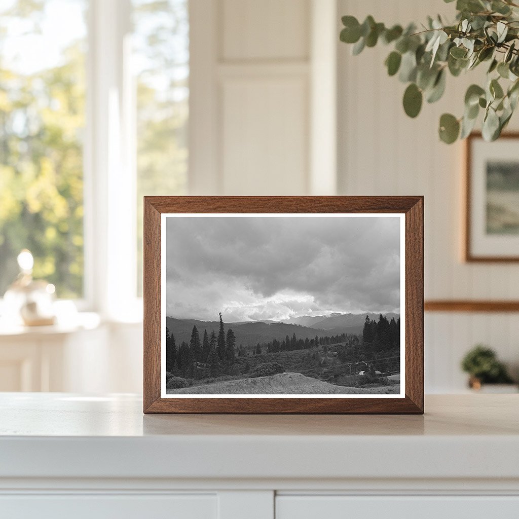 Shasta County Mountain Ranges California June 1942