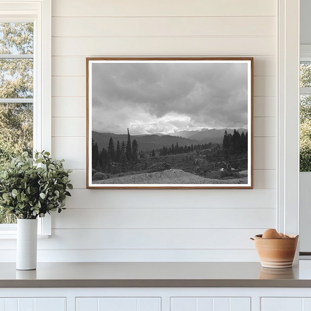 Shasta County Mountain Ranges California June 1942