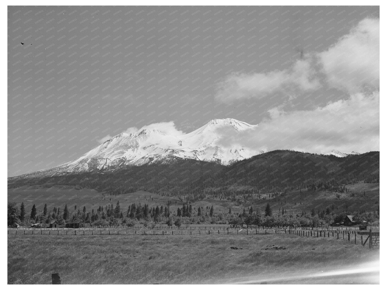 Mount Shasta Landscape December 1941 Historical Image