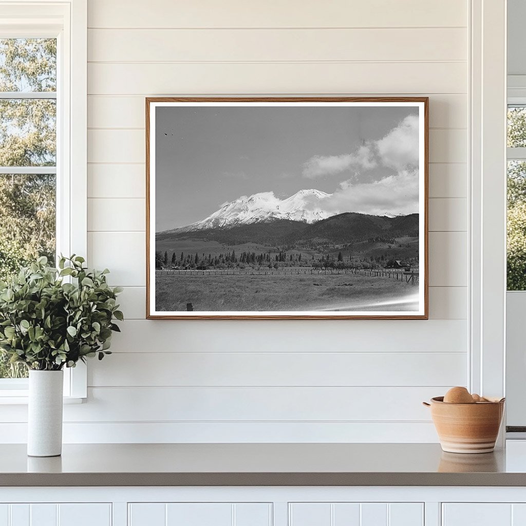 Mount Shasta Landscape December 1941 Historical Image