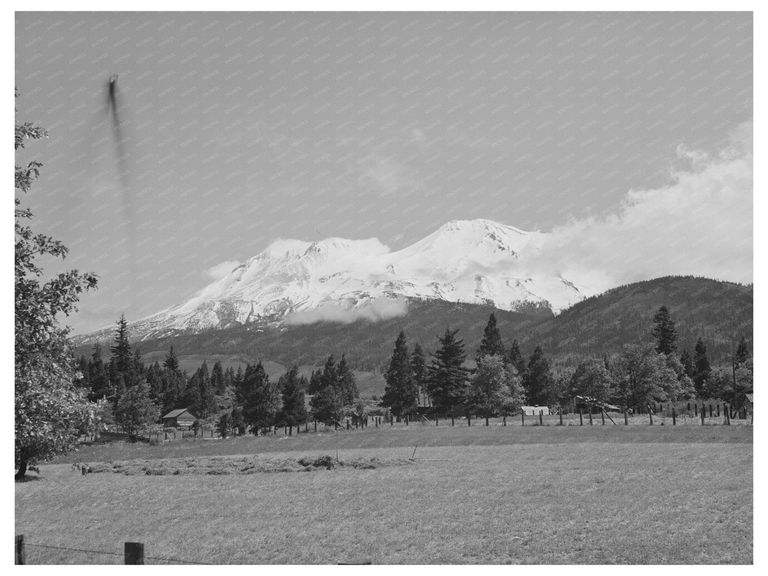 Mount Shasta Vintage Photograph July 1942 FSA/OWI Collection