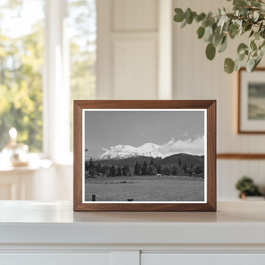 Mount Shasta Vintage Photograph Shasta County California 1942