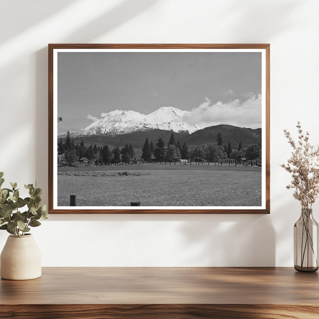 Mount Shasta Vintage Photograph Shasta County California 1942