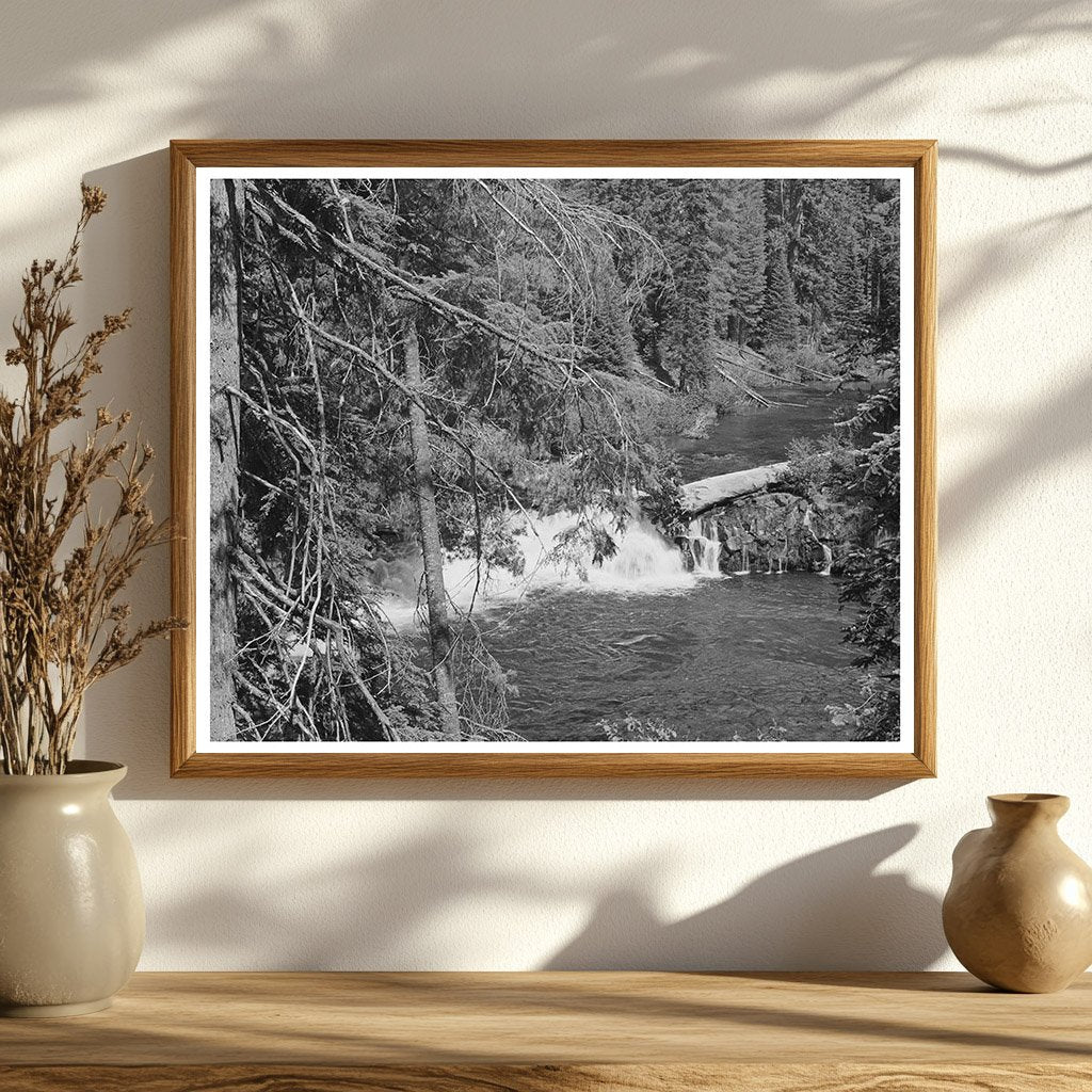 Rogue River National Forest July 1942 Scenic View